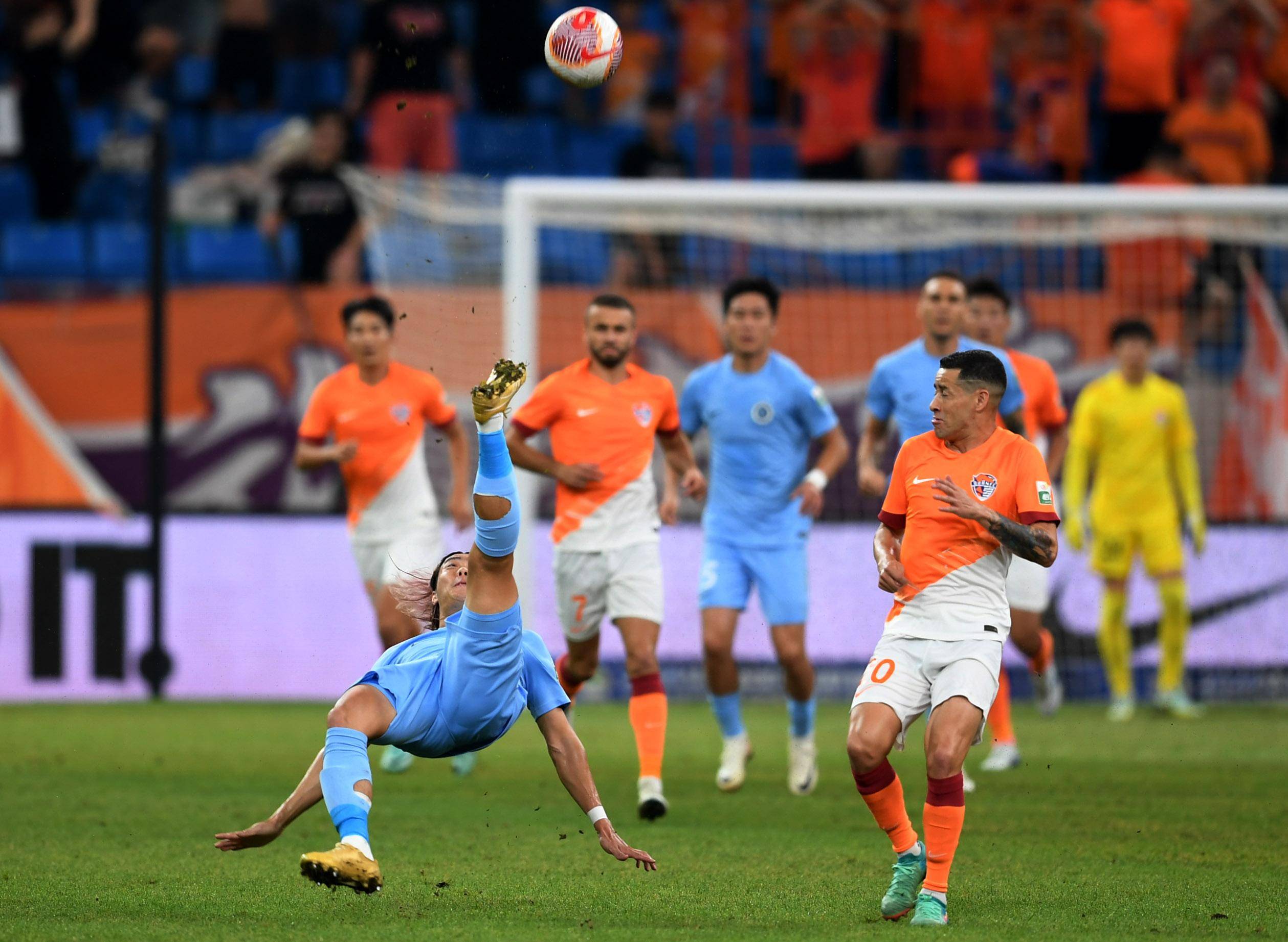 会不会爱他 会不会爱他