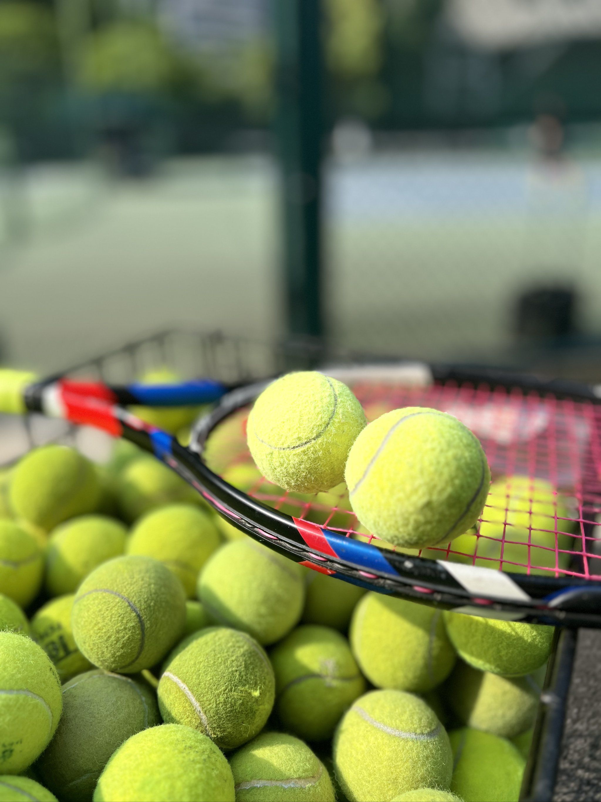 的纪律问题 的纪律问题