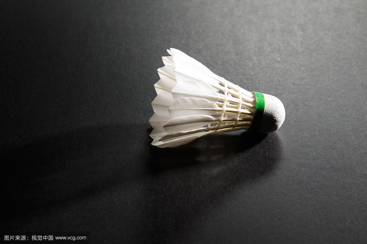 国代表团再 国代表团再