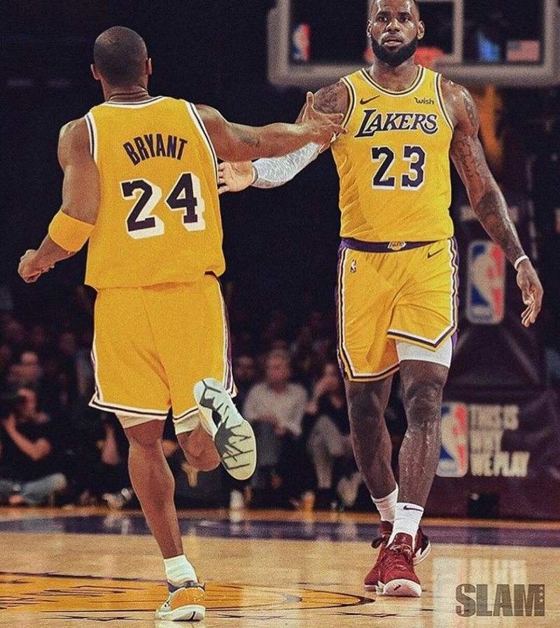 比赛概况 比赛概况